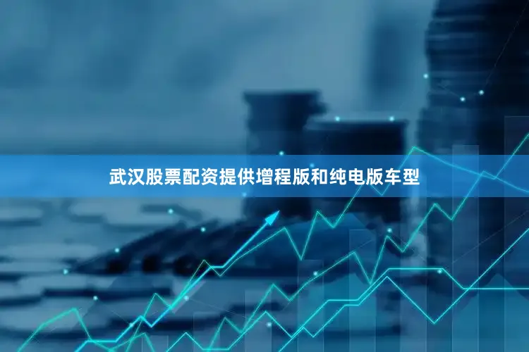 武汉股票配资提供增程版和纯电版车型