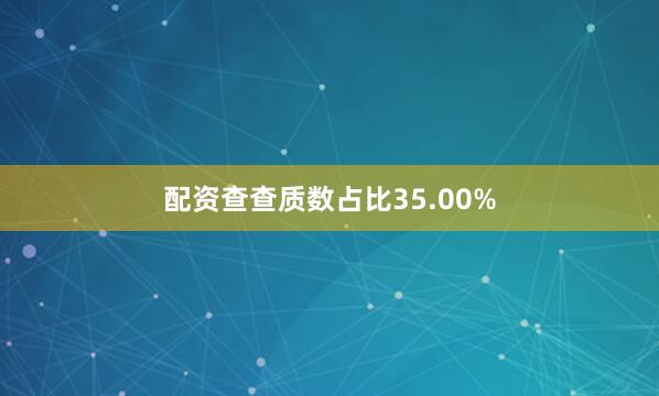 配资查查质数占比35.00%